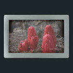 Flores de Neve<br><div class="desc">Snow Blossoms Nature Photo Impressões and Gifts apresentam uma bela fotografia de flores vermelhas da neve tirada por Kurt Keller durante uma caminhada pela beleza da Floresta Nacional Yosemite da Califórnia Norte.</div>