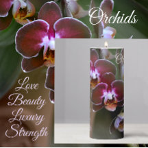 Flores de Orquídea Púrpura Botânica Fotográfica