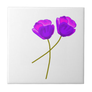 Flores De Papoila Púrpura