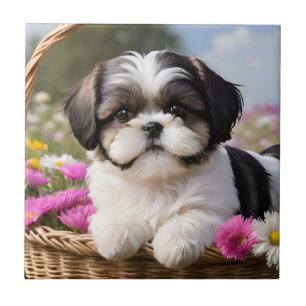Flores De Pequeno Shuz Tzu Puppy Basket