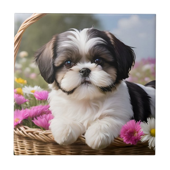 Flores De Pequeno Shuz Tzu Puppy Basket (Frente)