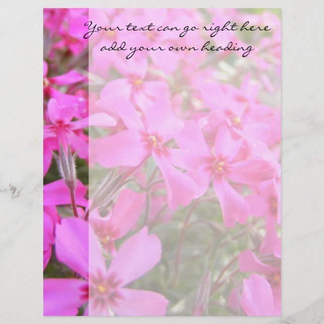 Flores de Phlox Rosa Letterhead (Frente)