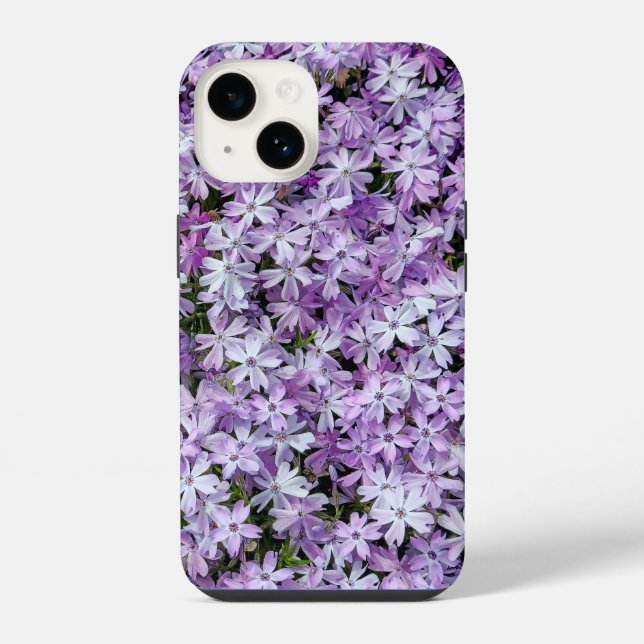 Flores de Phlox Roxo (Verso)