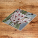 Flores de Plantas Hoya Floral<br><div class="desc">Azulejo cerâmico que mostra a foto das bonito,  pequenas flores da Hoya Plant,  comumente chamada de Wax Plant. Um design floral adorável! Selecione o tamanho do seu azulejo. Faz uma trivet de cozinha excelente!</div>