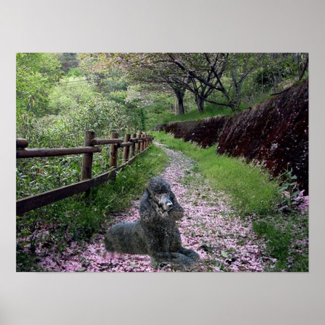 Flores de Poster preto de poodle (Frente)