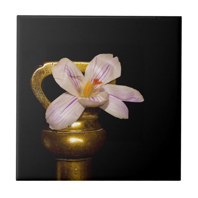 Flores de primavera (Frente)