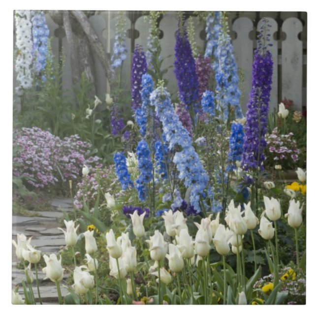 Flores de primavera ao longo de um caminho de jard (Frente)