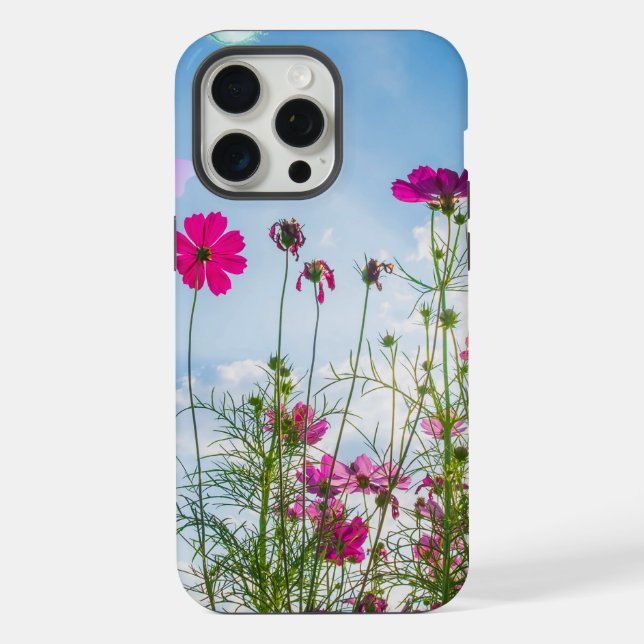 flores de primavera e borboleta (Verso)