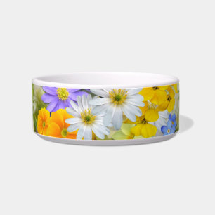 flores de primavera tigela comida de gato