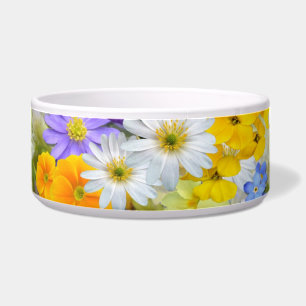 flores de primavera tigela comida de gato
