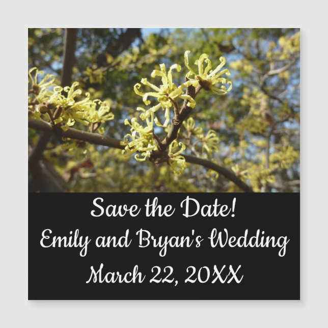 Flores de risco de bruxas (Frente)