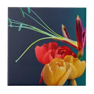 Flores de Rosa-17250