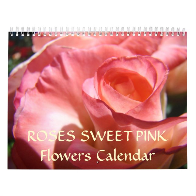 FLORES DE ROSE DE PINK DO Calendário DE ROSAS DOCE (Capa)