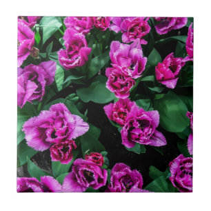Flores de tulipas cor-de-rosa
