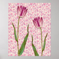 Flores de Tulipas Magenta Rosa Vintage Poster