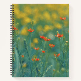 Flores De Verão (Campo Floral) (Flores Vermelhas)