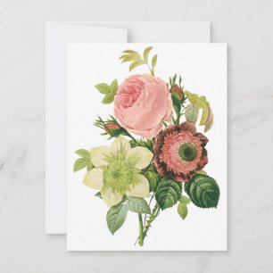 Flores de Vintage, Rosas de Anemone Clematis por R