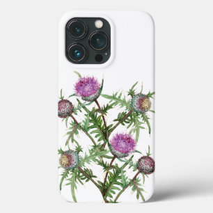 flores de violeta cardo