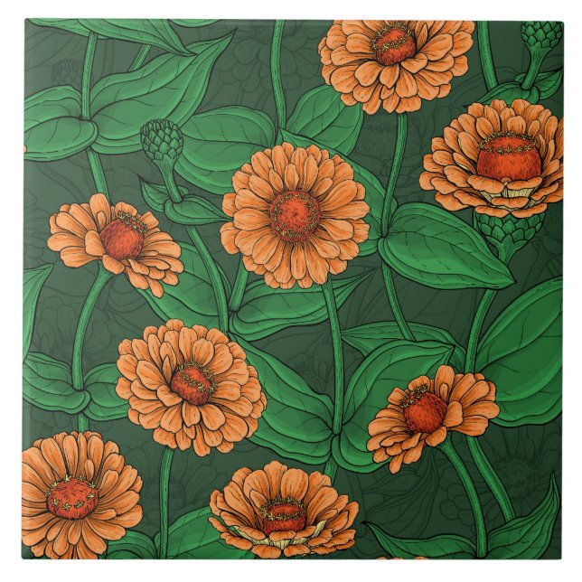 Flores de Zinnia laranja, folhas verdes em verde e (Frente)