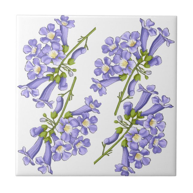 Flores do Brasil jacaranda (Frente)