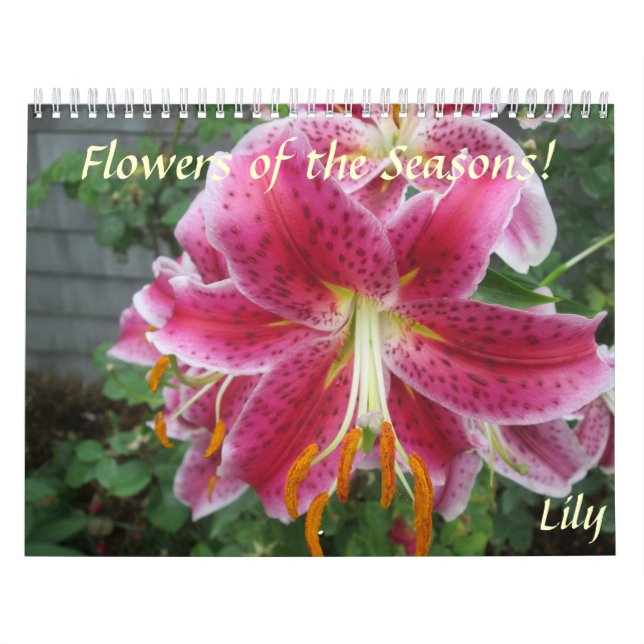 Flores do Calendário das Estações (Capa)