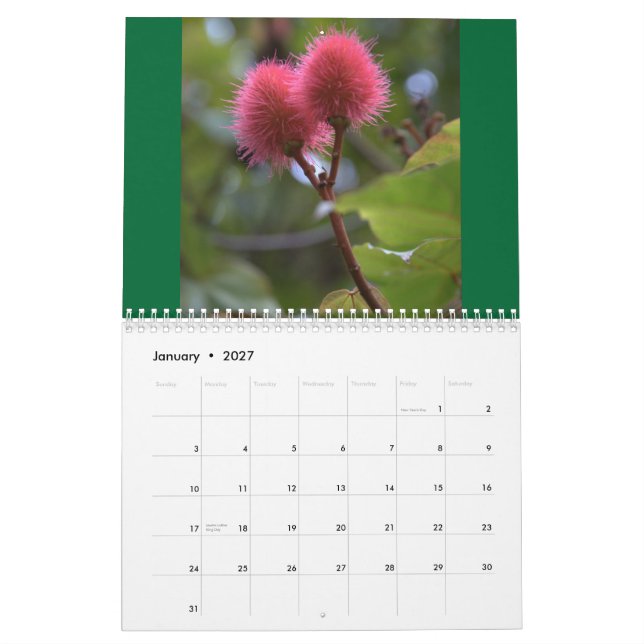 Flores do calendário de Havaí 2010 (Jan 2027)