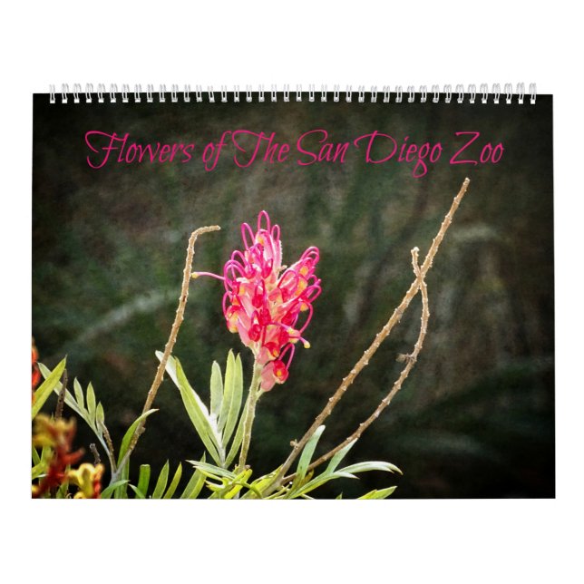 Flores do Calendário do Zoológico de San Diego (Capa)