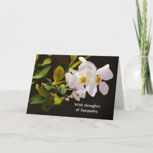 Flores do Cartão de condolências do Flor Branco