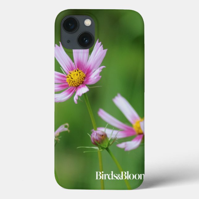 Flores do cosmos (Verso)