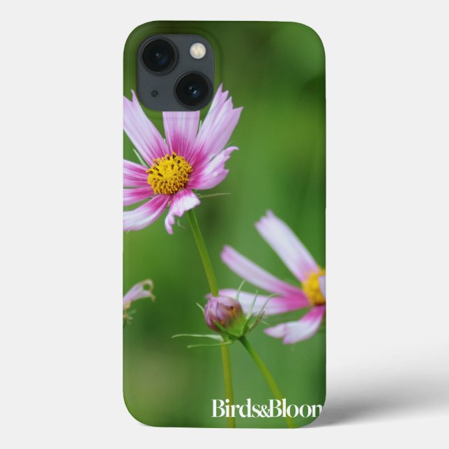 Flores do cosmos (Verso)