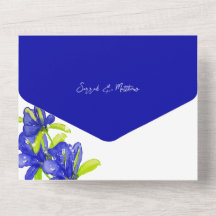 Flores do Iris Indigo Elegante pintadas à mão