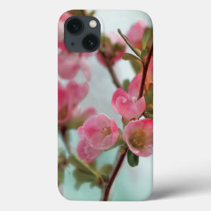 Flores do marmelo