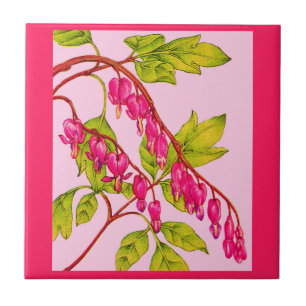 flores dos corações de sangramento