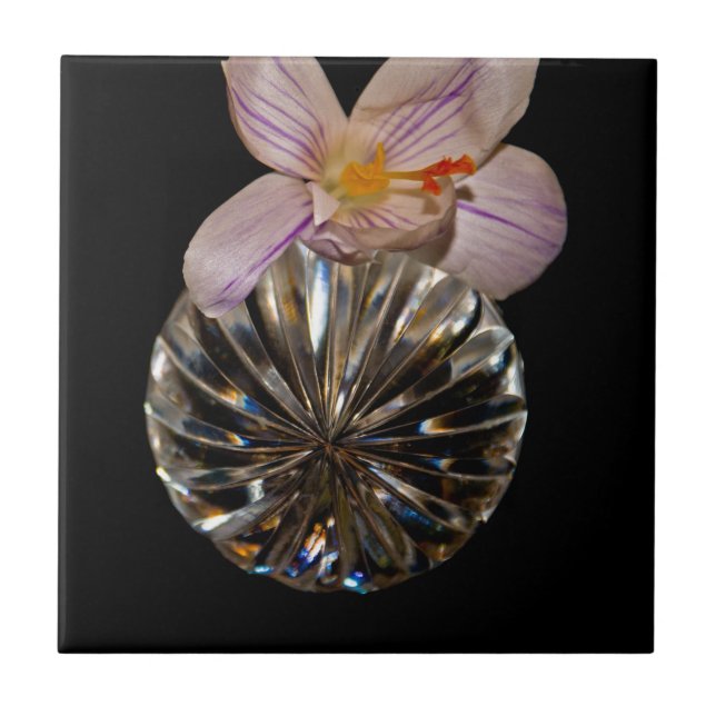 Flores e Cristal (Frente)