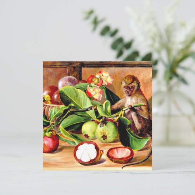 Flores e frutos de Mangosteen; Macaco de Singapura (Em pé/Frente)