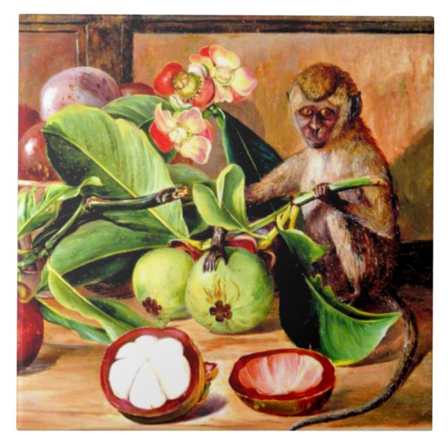 Flores e frutos de Mangosteen; Macaco de Singapura (Frente)
