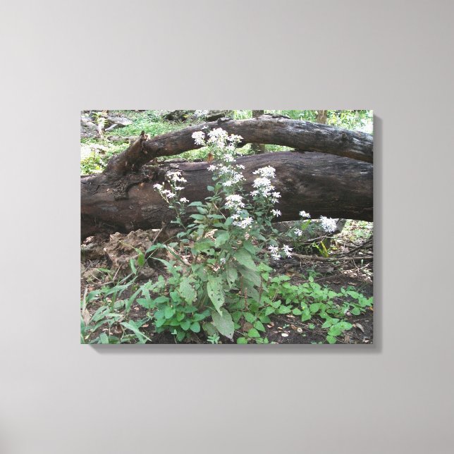 Flores e Impressão de Canvas de de  de Log (Frente)