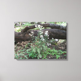 Flores e Impressão de Canvas de de de Log