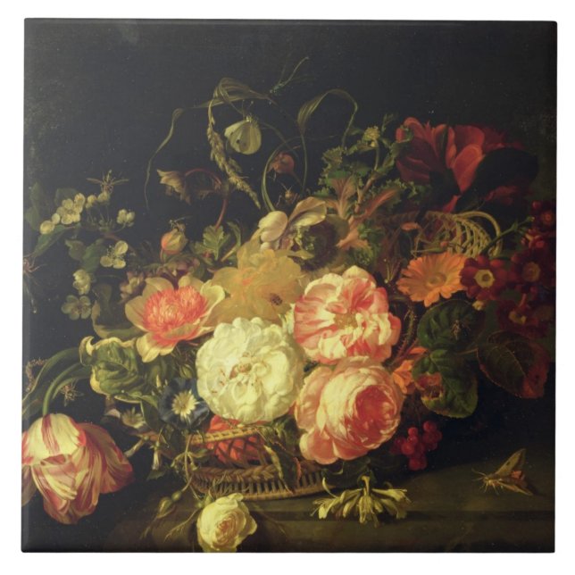 Flores e insetos, 1711 (óleo no painel) (Frente)
