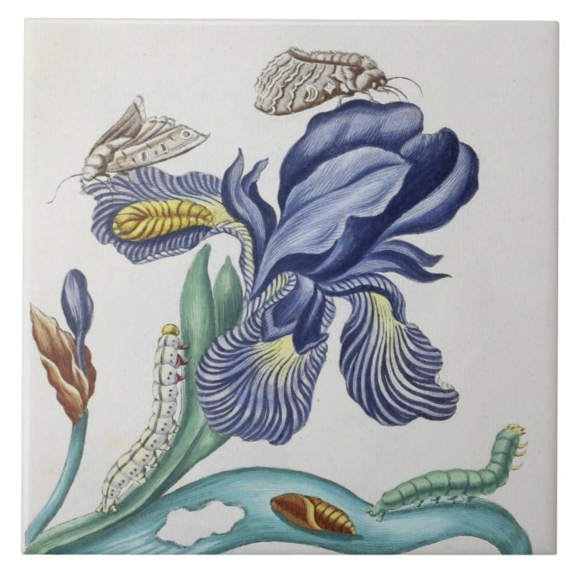 flores e insetos de vintage, azulejo de cerâmica (Frente)