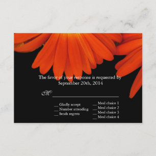 flores elegantes de gerbera margarida laranja RSVP
