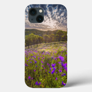 Flores Flinders Ranges Austrália