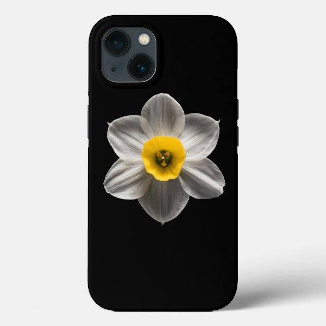 Flores | Flor Branca De Daffodilo (Verso)