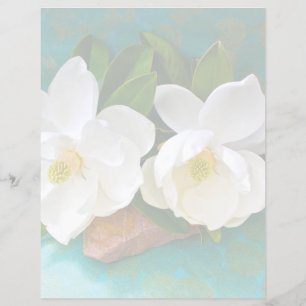 Flores Flor Magnolia
