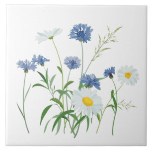 Flores,flores de primavera,margaridas