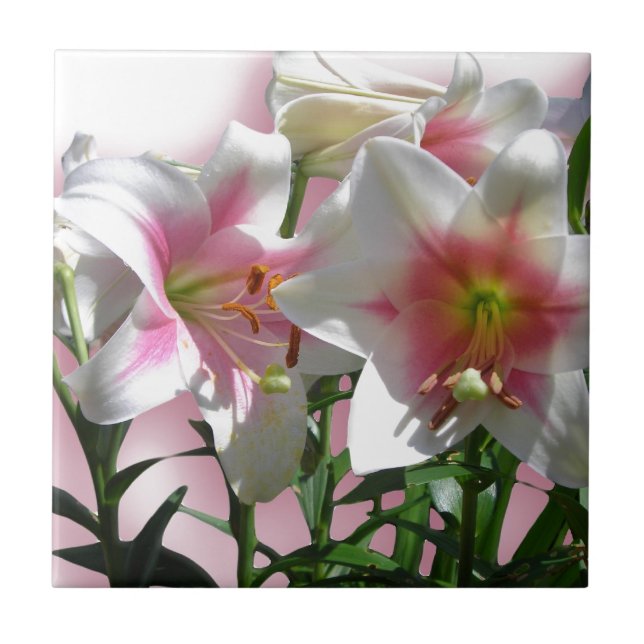 Flores Fogem Festa de Chá de Amor Primavera (Frente)