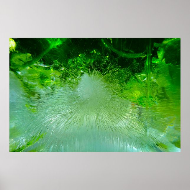 Flores Forçadas, Poster (Frente)