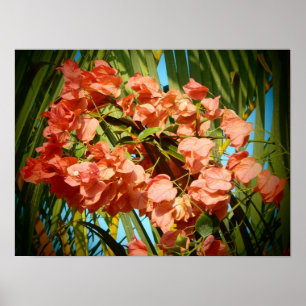 Flores havaianas poster impressão