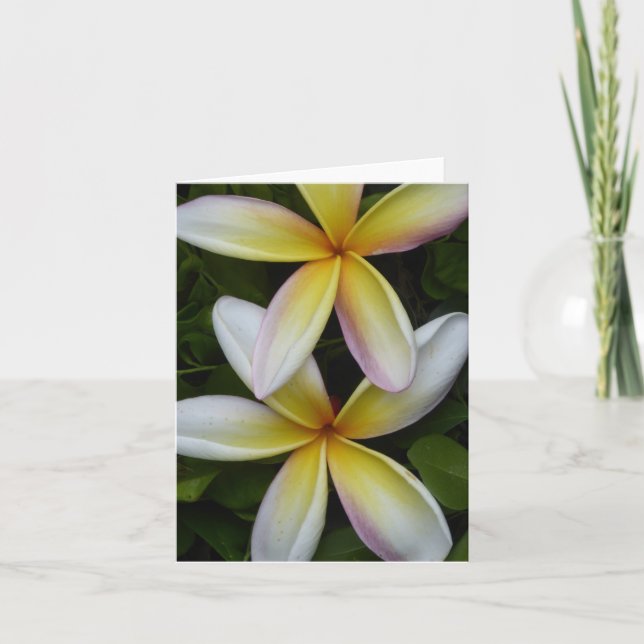 Flores Havaianas Vibrantes Dobraram Cartão de Saud (Frente)