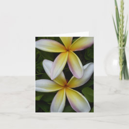 Flores Havaianas Vibrantes Dobraram Cartão de Saud